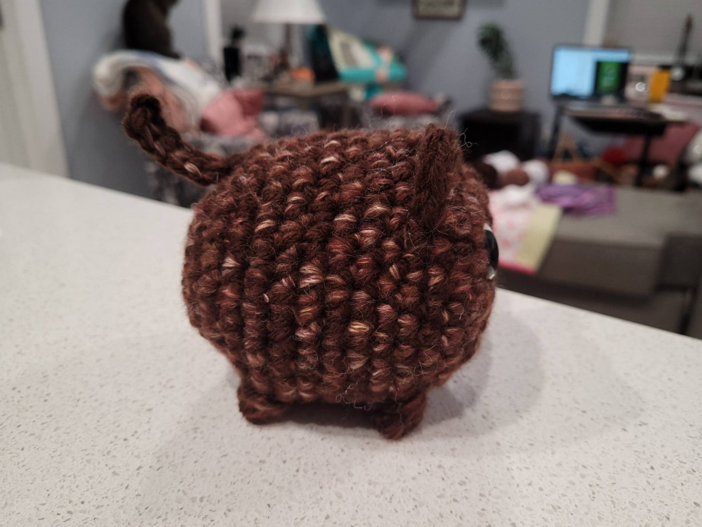 Brown Cat