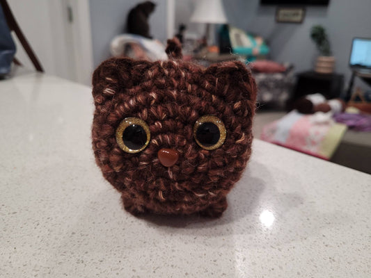 Brown Cat