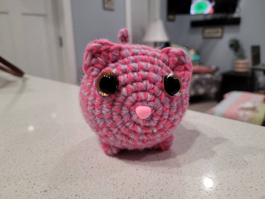 Purple and Pink Cat