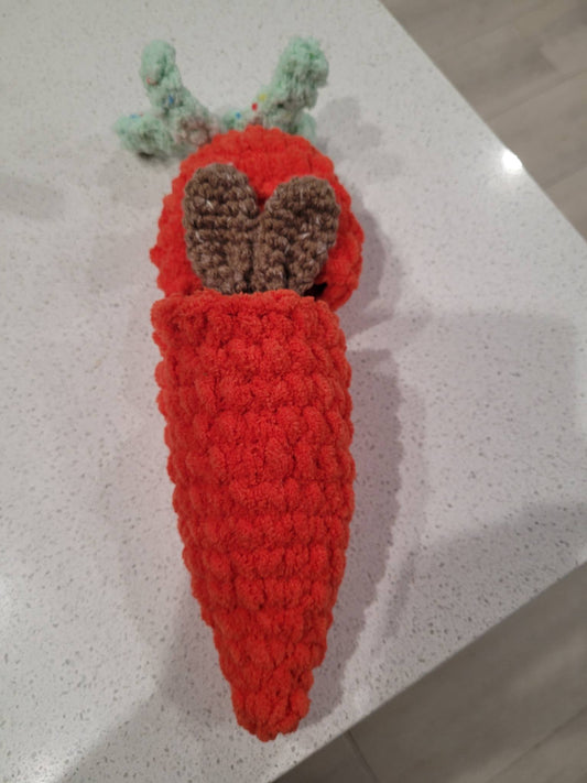 Carrot with Brown Bunny