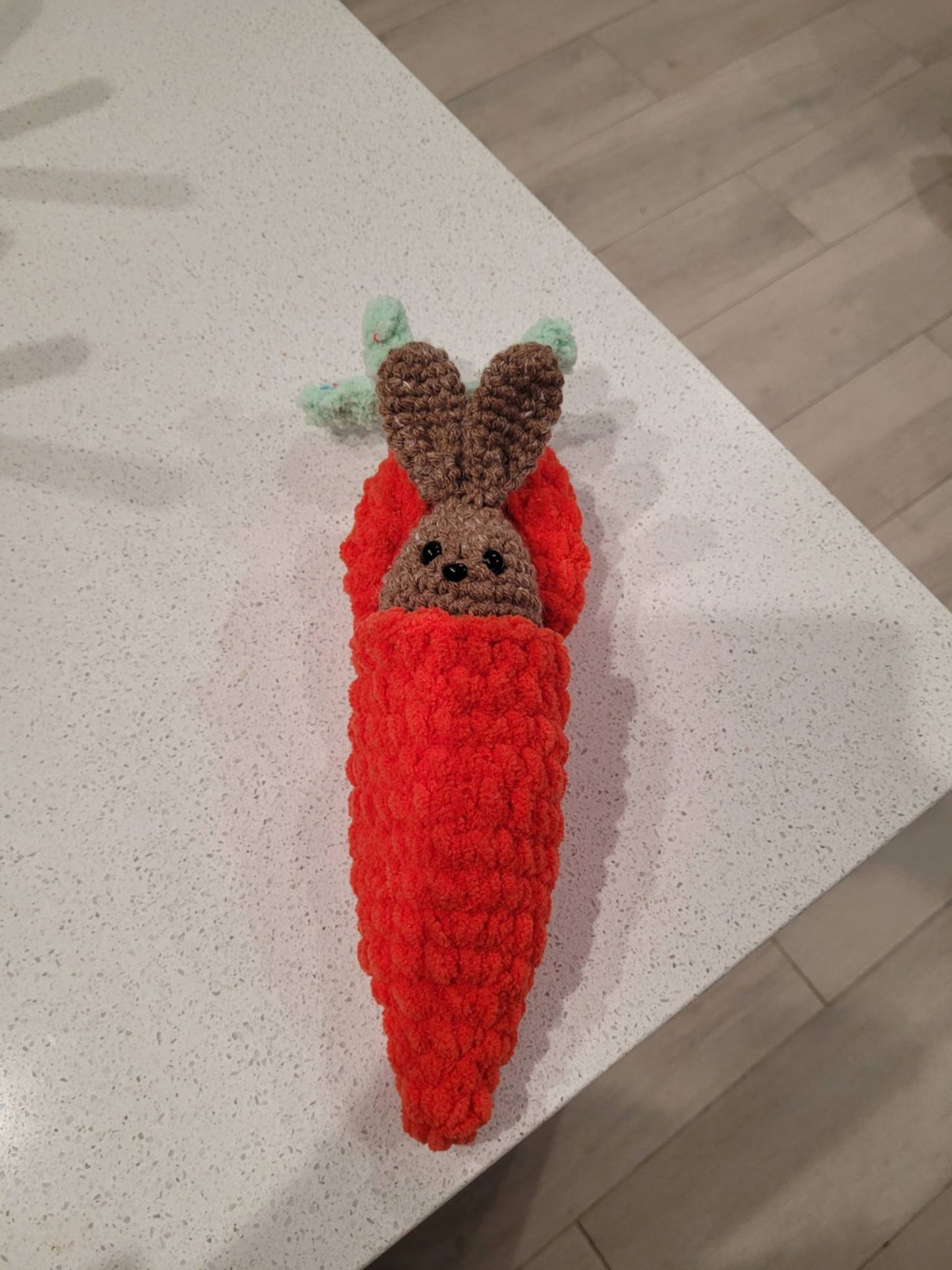 Carrot with Brown Bunny