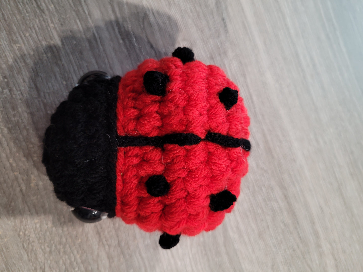 Ladybug