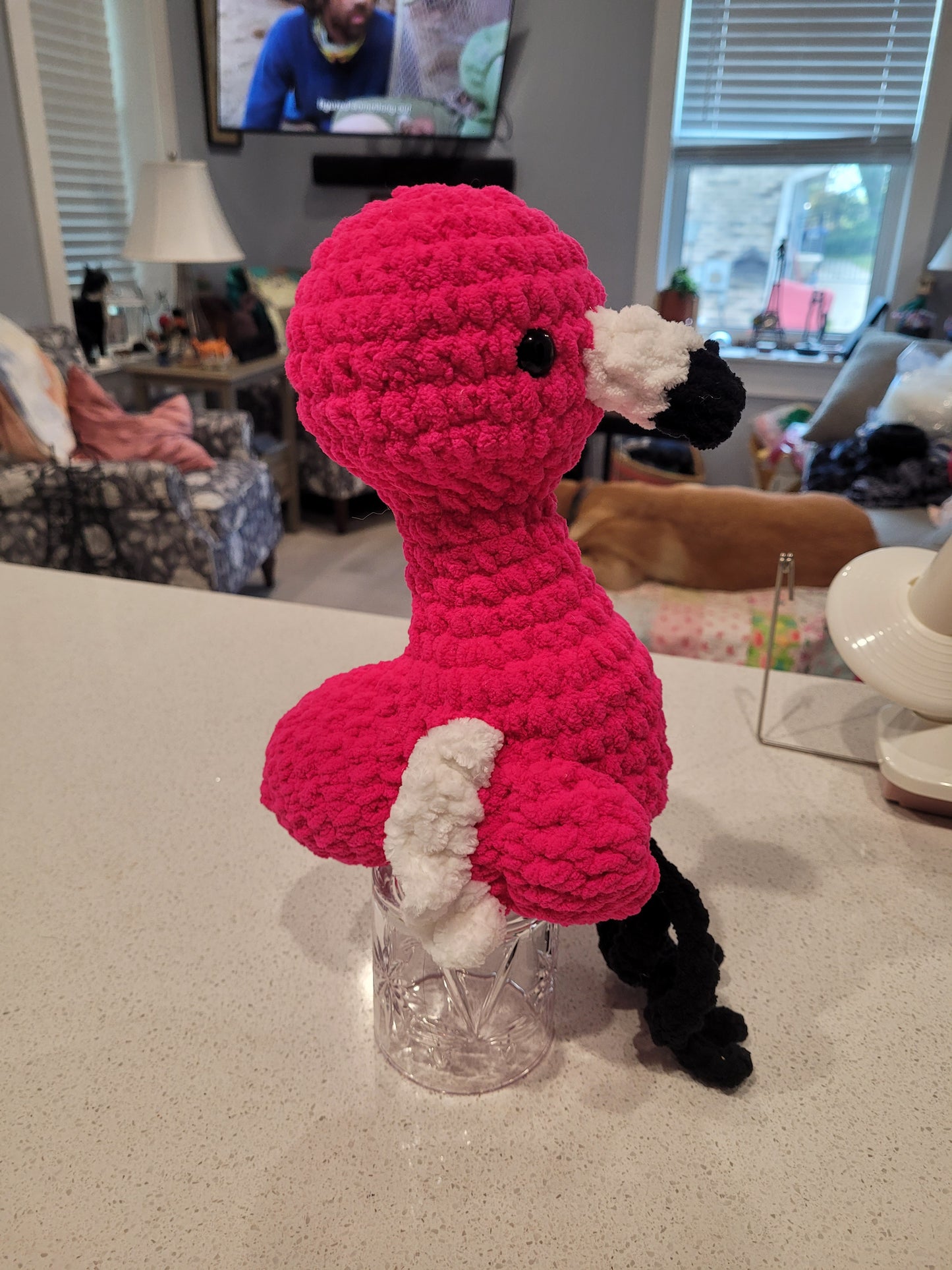 Flamingo