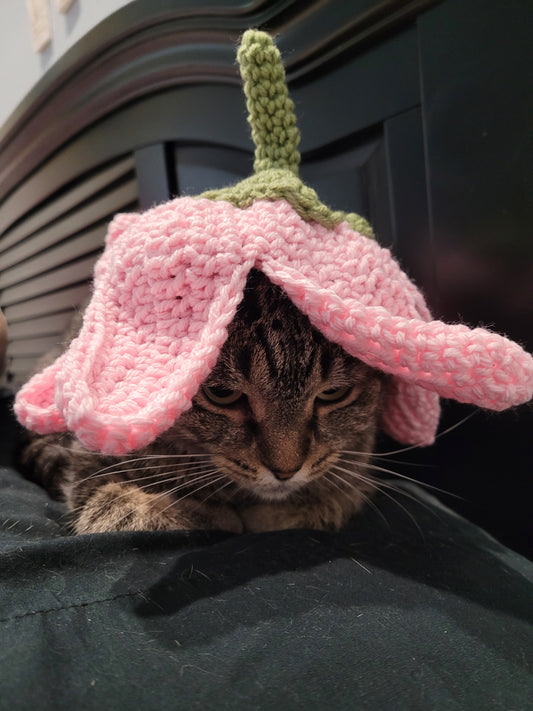 Flower Cat Hat