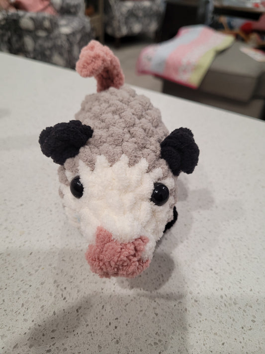 Possum