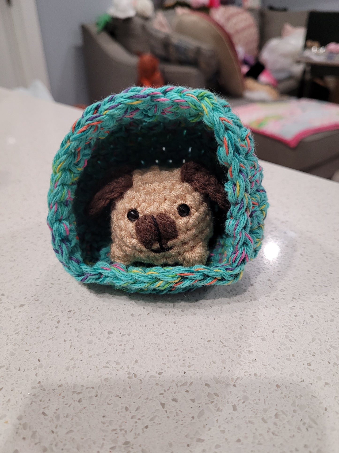 Puppy in a Cubby