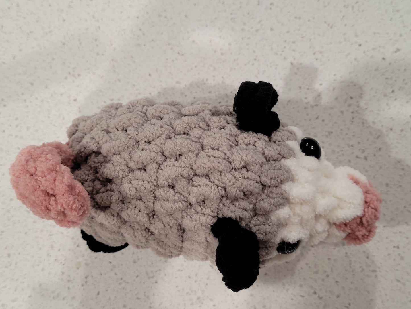 Possum