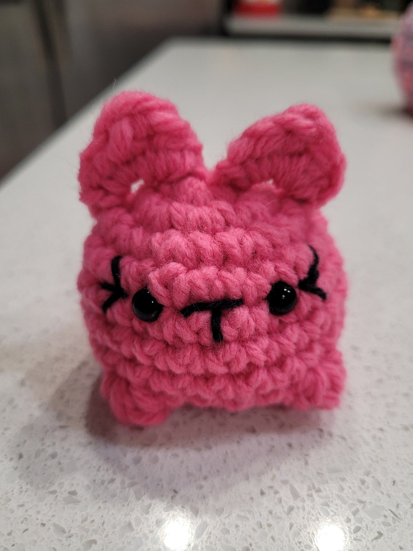 Kitty with a Cubby