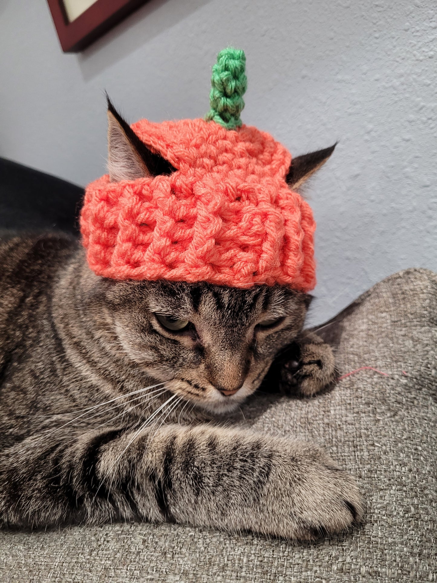 Cat Pumpkin Hat