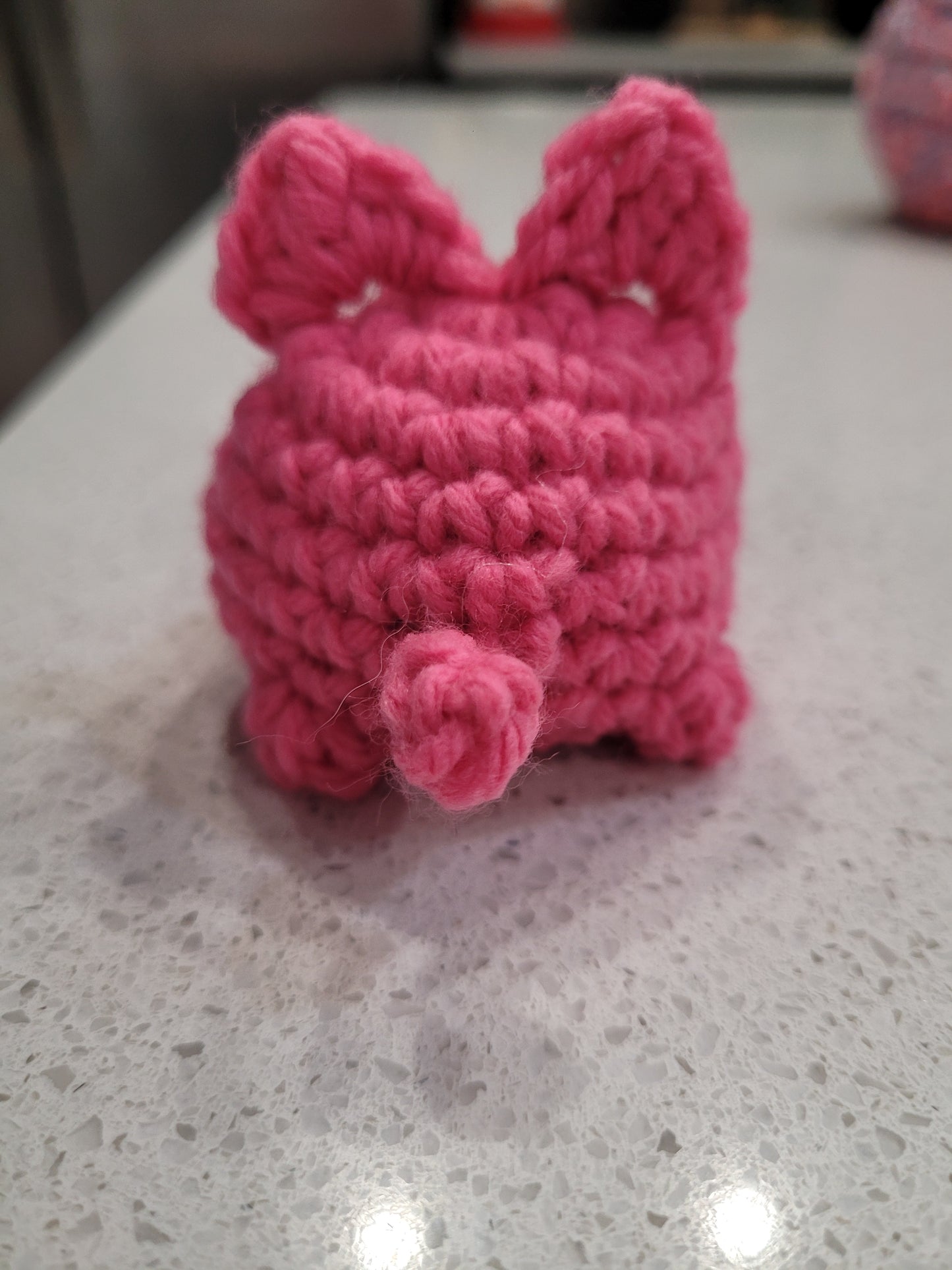Kitty with a Cubby