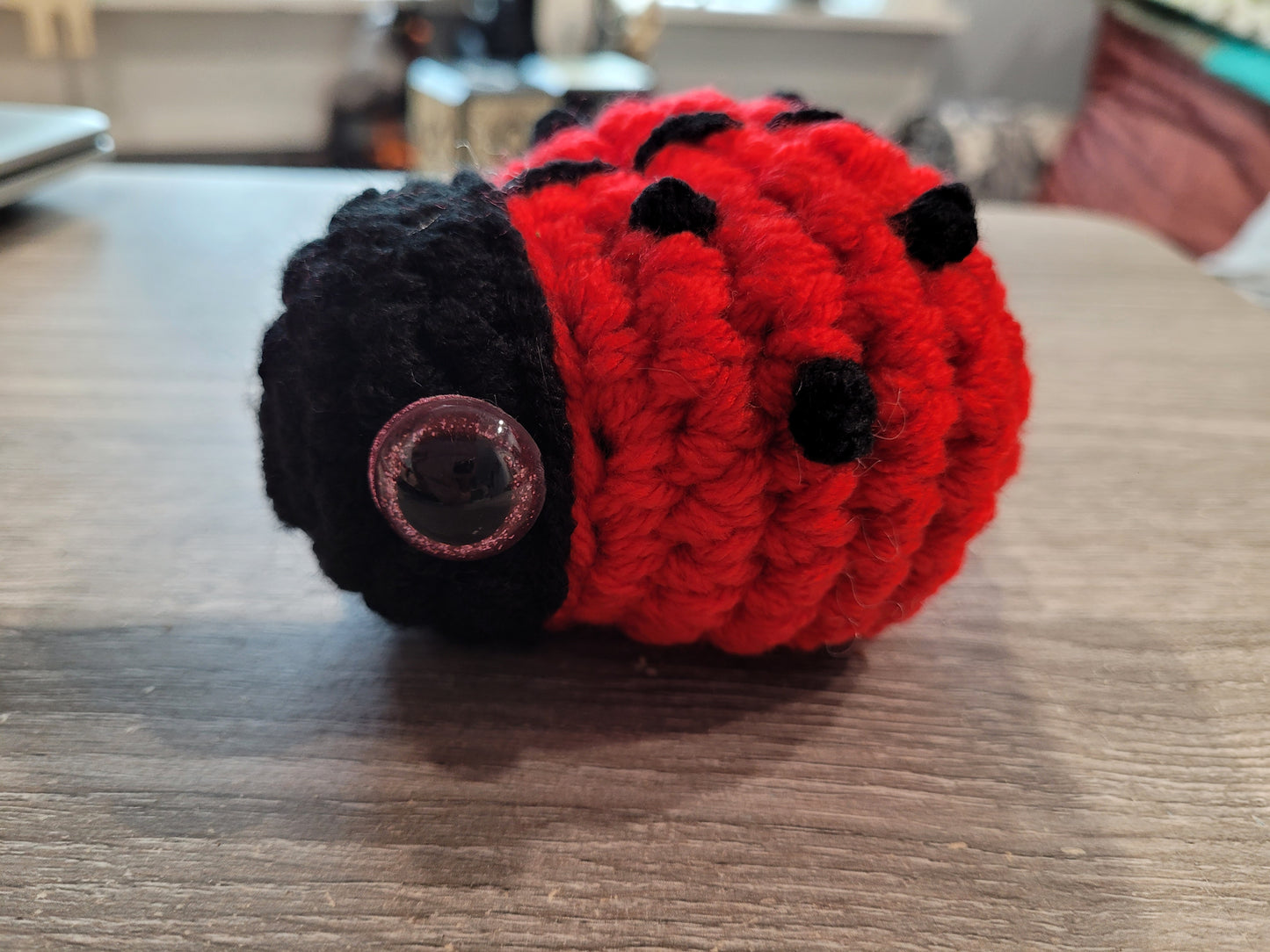 Ladybug