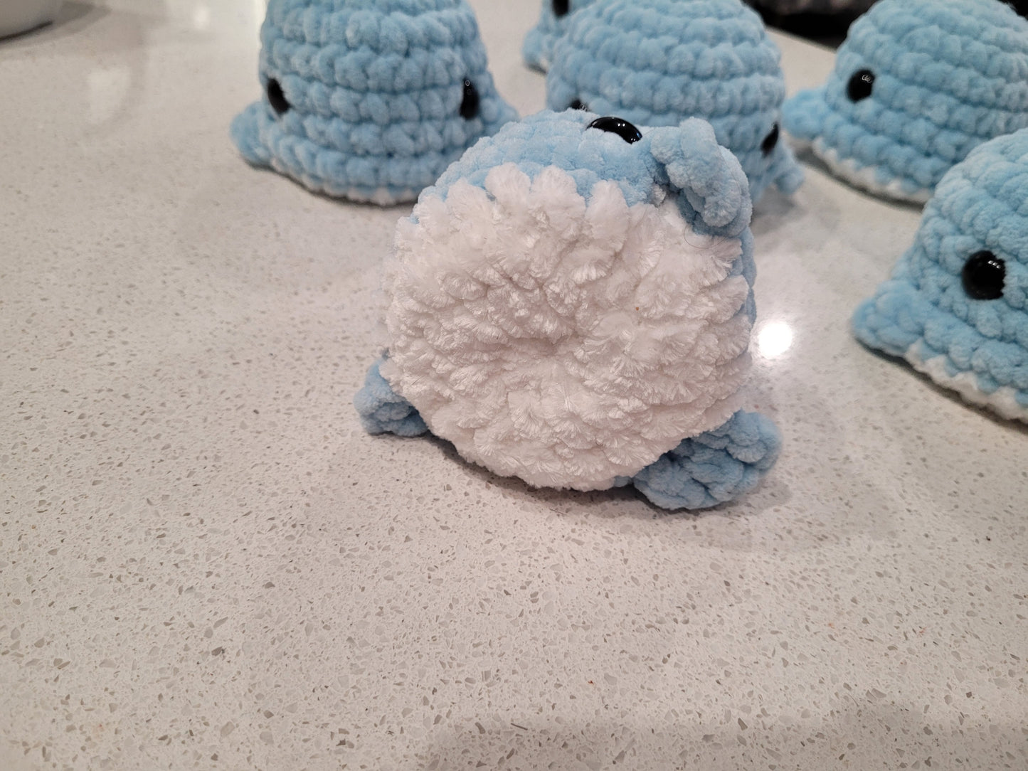 Small Whale