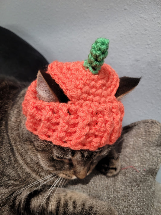 Cat Pumpkin Hat